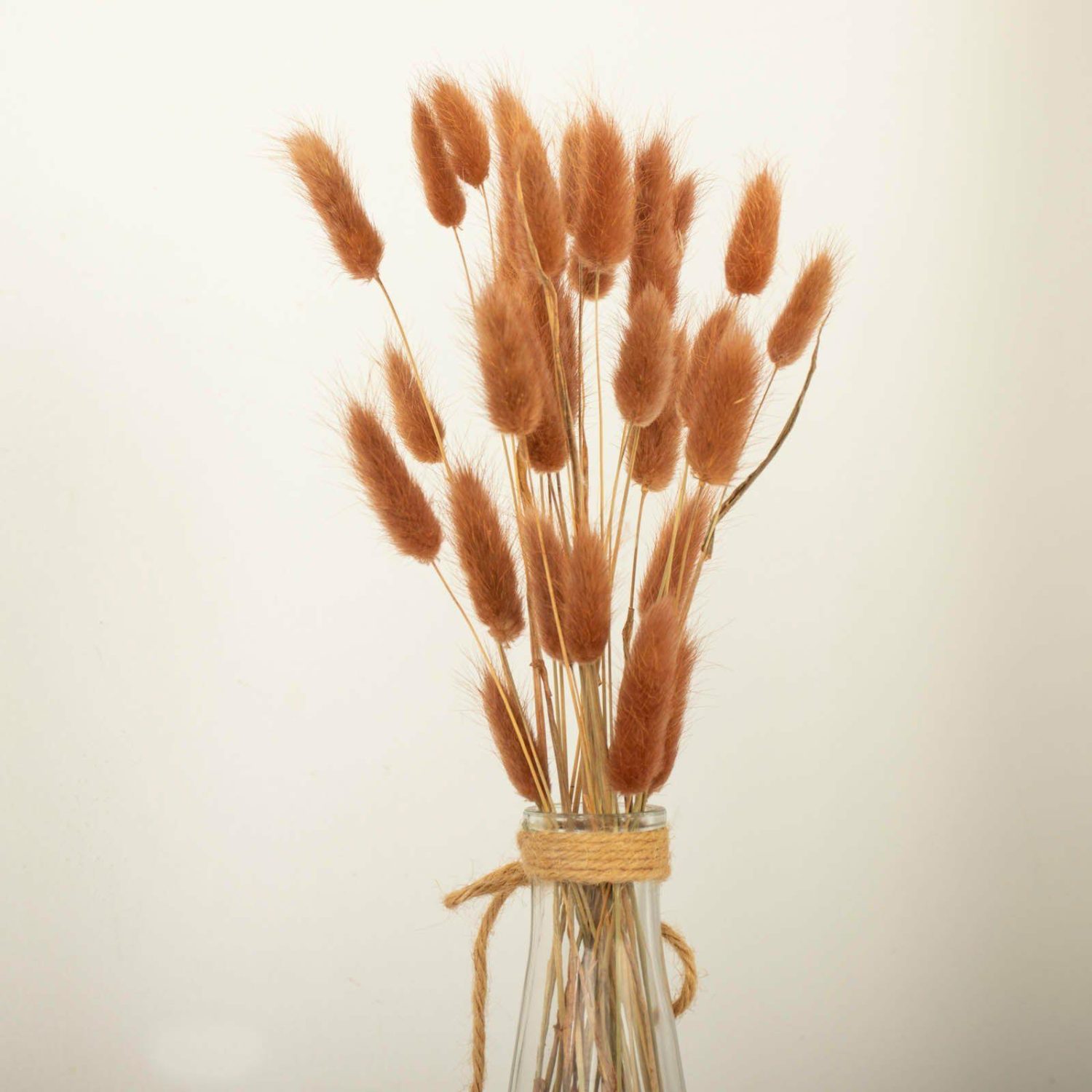 Artificial Long Stem | 50 Pack Brown Rabbit Tail Dried Pampas Grass Flower Bouquets, Boho Stem Arrangements 15″ Artificial Flowers Artificial Long Stem