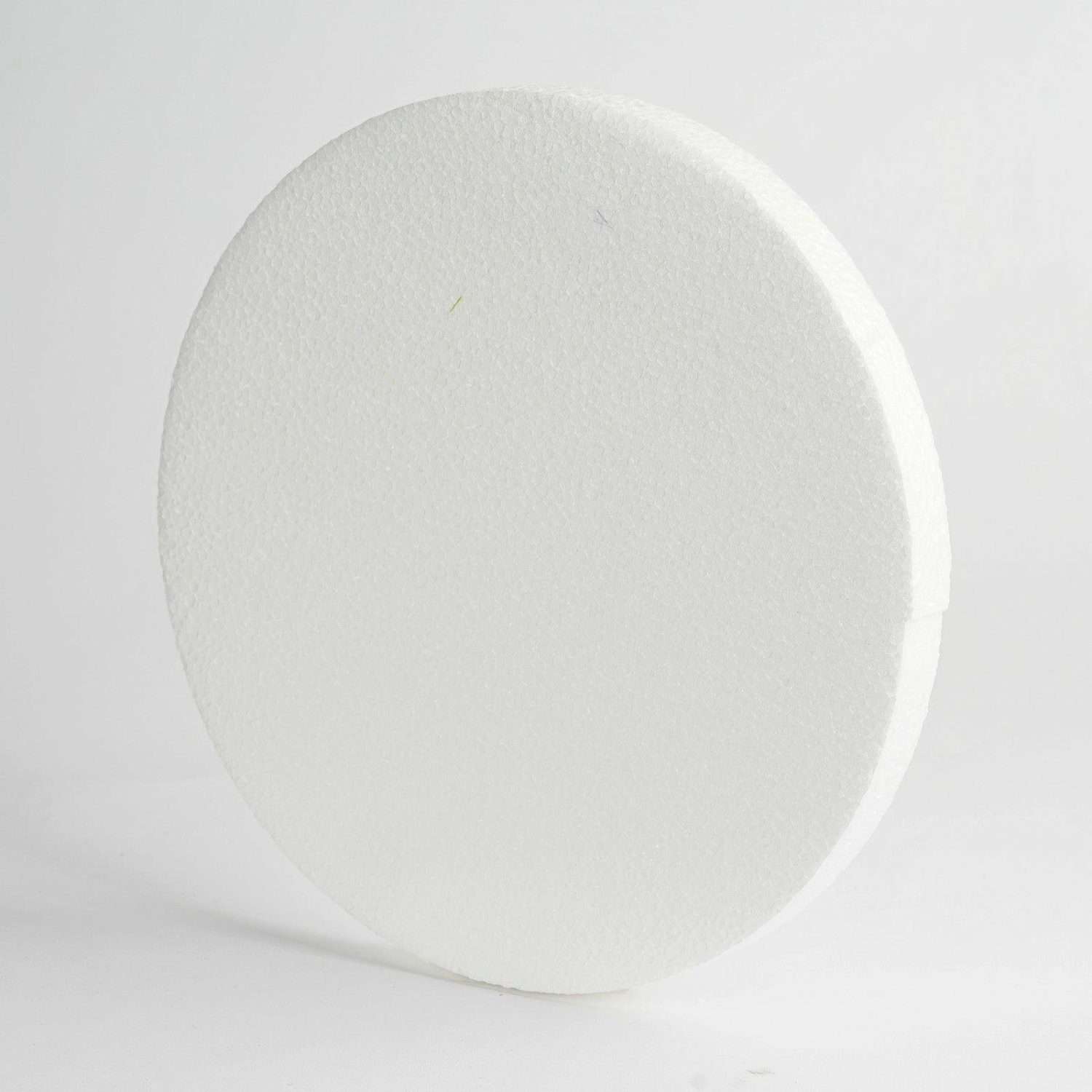 Floral Supplies | 12 Pack White StyroFoam Disc, DIY Polystyrene Foam Craft Supplies 10″ Floral Planter & Supplies Floral Supplies