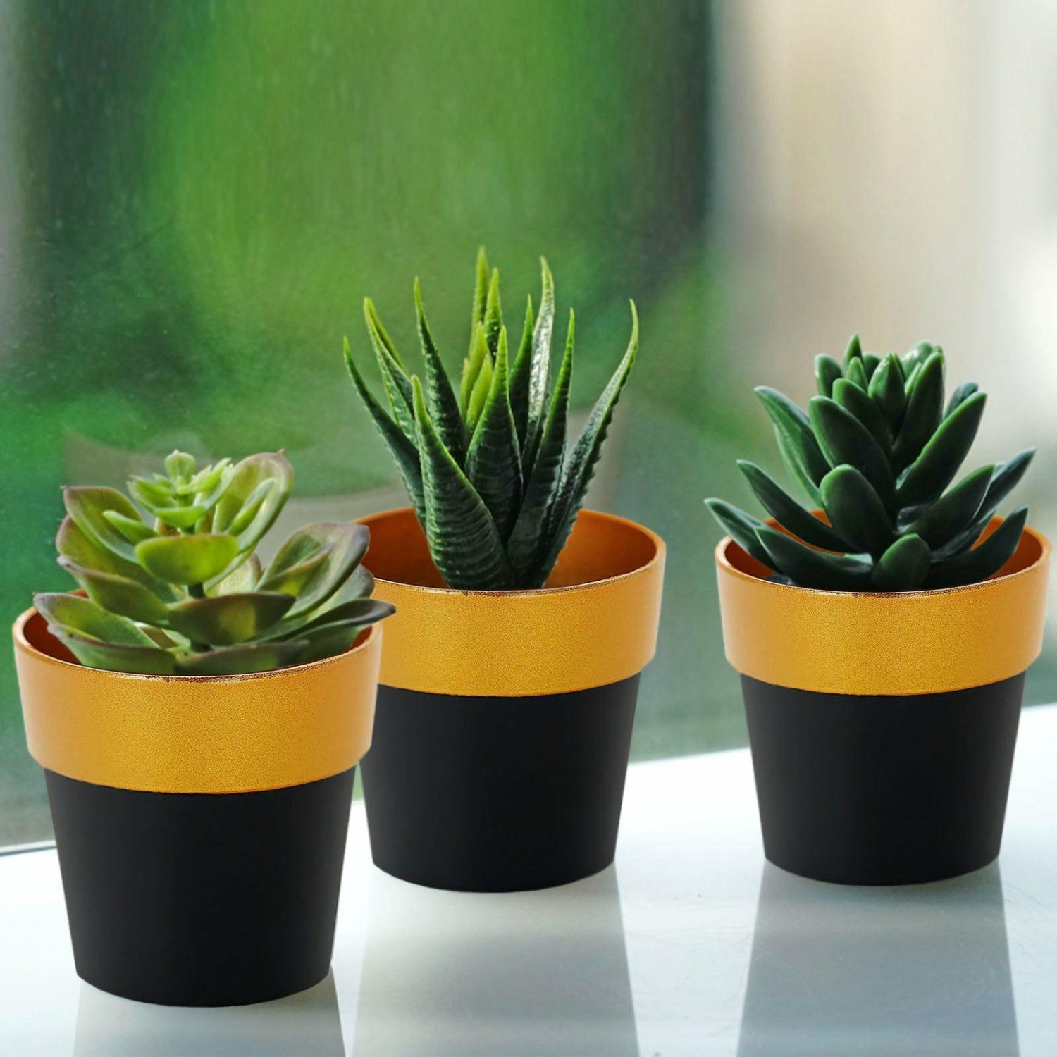 Planters | 3 Pack Black Gold Rimmed Small Flower Plant Pots, Indoor Decorative Planters 3″ Floral Planter & Supplies Black/Gold