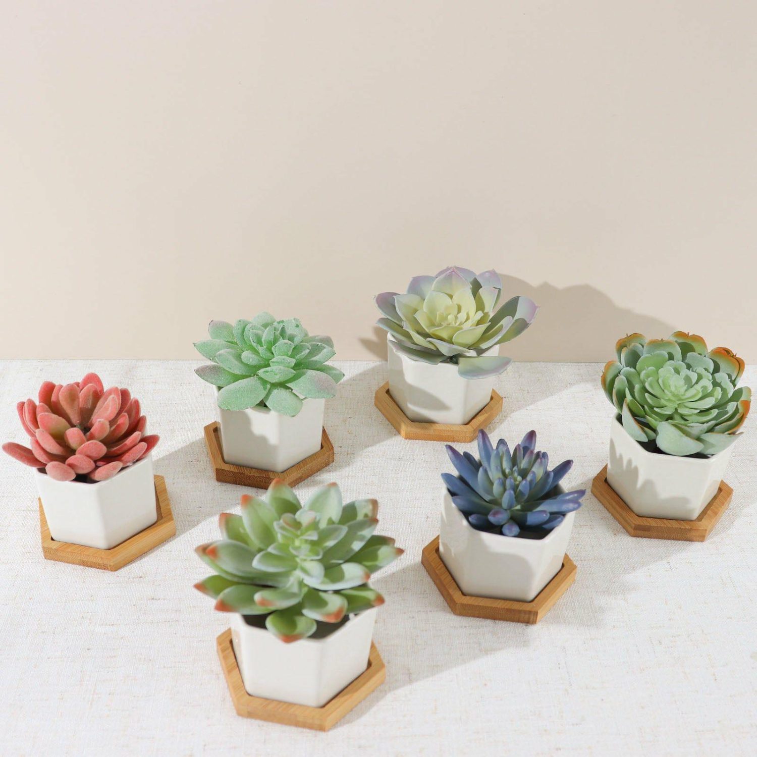 Planters | 6 Pack White Geometric Hexagon Ceramic Planter Pots, Bamboo Tray Base w/ Drainage Hole, Cactus and Succulent Planters With Removable Bottom 3″ Floral Planter & Supplies Planters