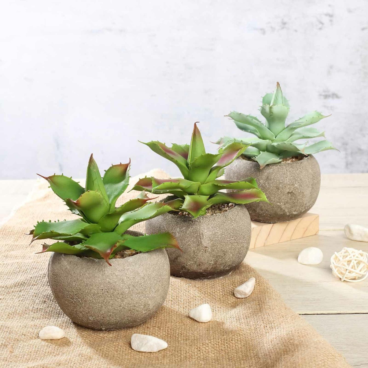 Succulent Plants | 3 Pack Ceramic Planter Pot and Artificial Aloe Succulent Plants 5″ Artificial Plants Aloe Varietal