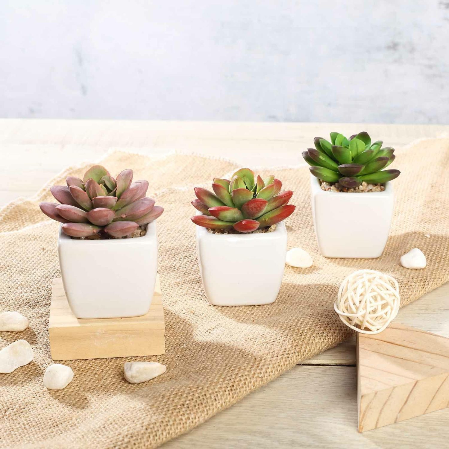 Succulent Plants | 3 Pack Ceramic Planter Pot and Artificial Echeveria Elegans Plants 3″ Artificial Plants 3 Inch Mini Echeveria