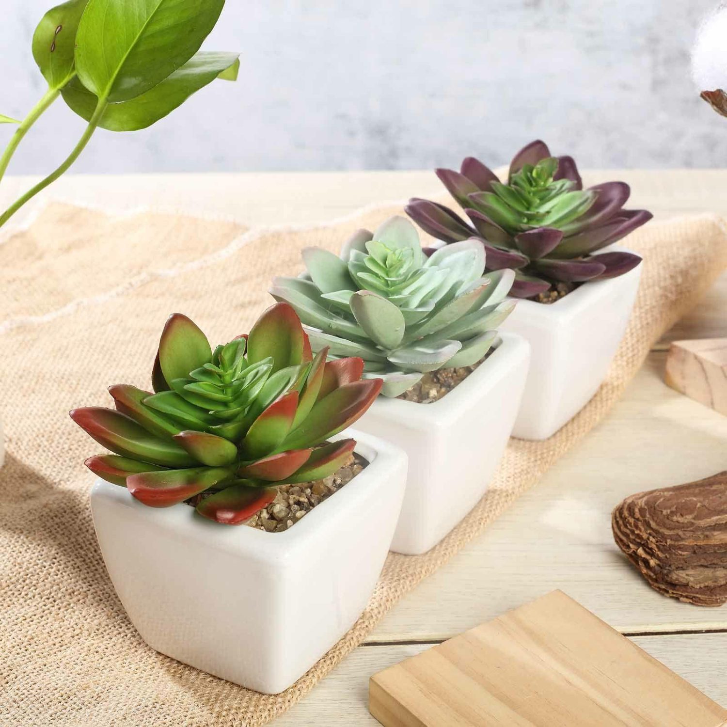 Succulent Plants | 3 Pack Ceramic Planter Pot and Artificial Echeveria Elegans Plants 4″ Artificial Plants Assorted Echeveria