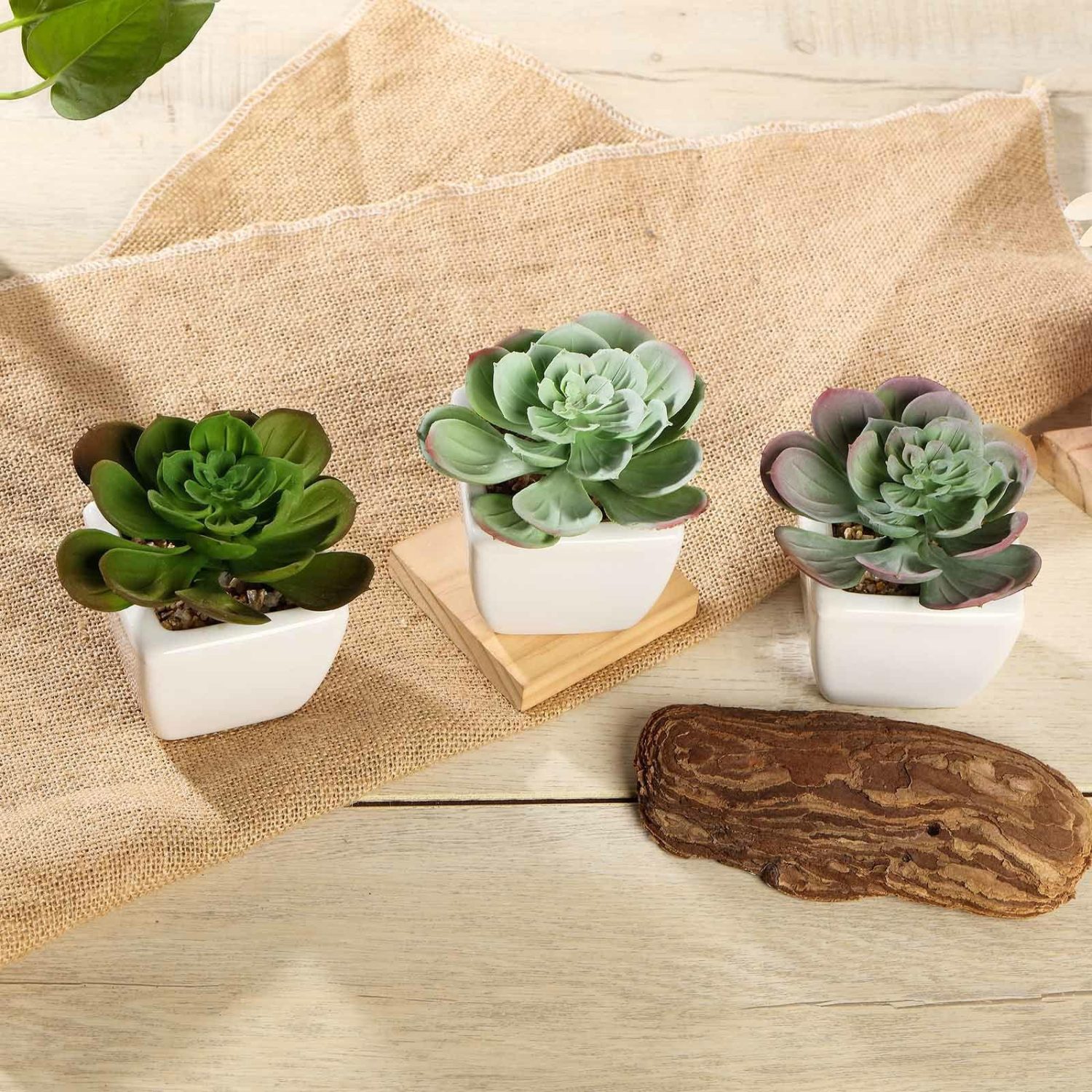 Succulent Plants | 3 Pack Ceramic Planter Pot and Artificial Echeveria Succulent Plant 4″ Artificial Plants 4 Inch Mini Echeveria