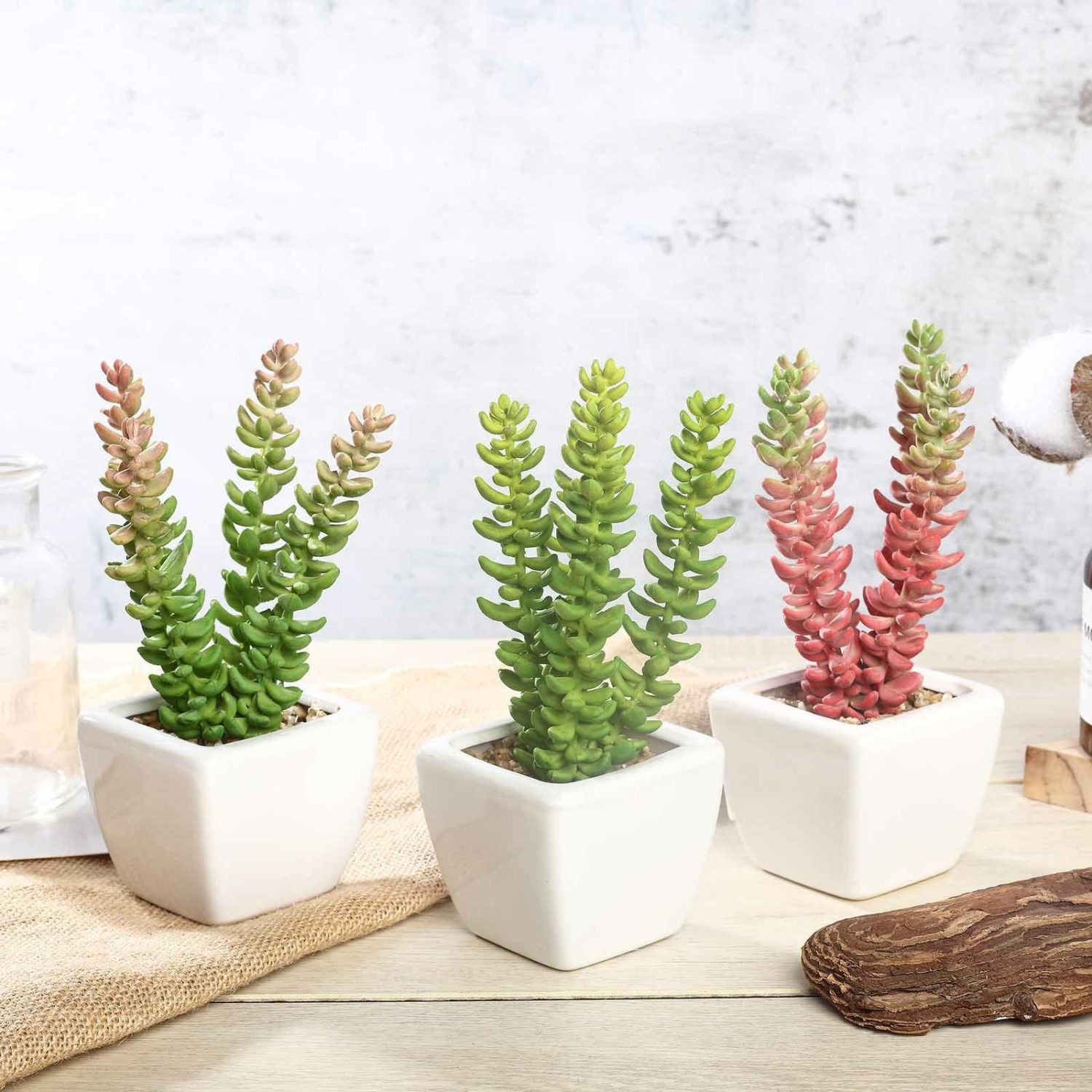 Succulent Plants | 3 Pack Ceramic Planter Pot and Artificial Sedum Succulent Plants 8″ Artificial Plants Sedum Oaxacanum